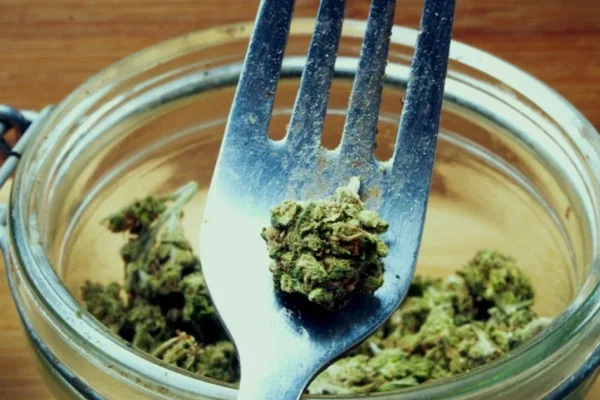 Можно ли есть марихуану?